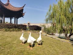 -中国计量大学(西校区)