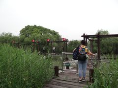 -长兴太湖图影湿地文化园
