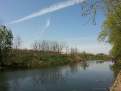 android_upload_pic-新江湾城公园