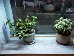 -真利味·脊骨火锅·正宗韩国料理(韩乐坊店)