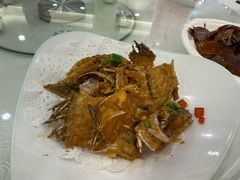 -寻味顺德·南记酒家·传统顺德菜·鱼生(广源路店)