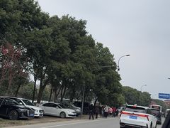 -都江堰中华大熊猫苑