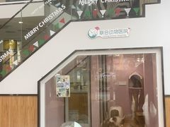-联合动物医院(光谷诊疗中心)