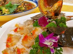 -官塘陈记鱼生·潮汕砂锅粥·牛肉火锅(潮枫路总店)