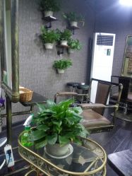 点击看大图 -HD HAIR STYLE