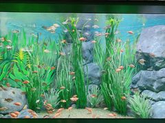 -上海海洋水族馆