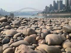 -重庆市江北嘴中央商务区中央公园