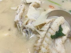 -煲来饱去冷水鱼