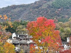 -塔川景区