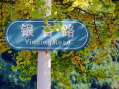 -辽宁大学(崇山校区)