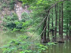 -水濂山森林公园