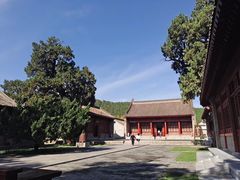 -黄帝陵