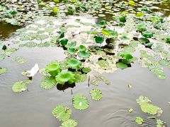 -东山湖公园