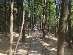 景点-火炉山森林公园