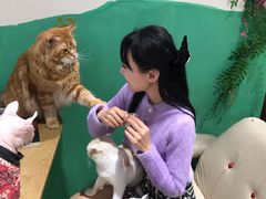 -藏猫猫咖啡主题馆(中央大道店)