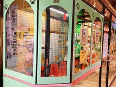 -猫咪博物馆(顶澳仔猫街店)