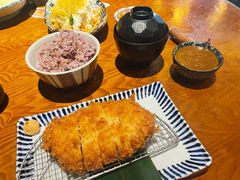 -堂本家洋食别馆·炸猪排(中心城店)