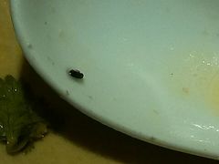 炖鸡-黑鸡小馆(金源店)