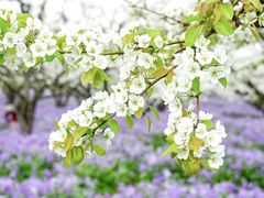 -江苏三台山国家森林公园