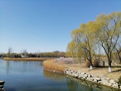 -大兴滨河森林公园