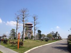 -大湾区中央湿地公园