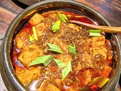 -陈麻婆豆腐总店