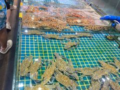 -三亚火车头万人海鲜广场