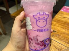 -一只酸奶牛(奎星楼店)
