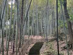 -杭州黄龙洞
