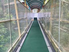 -七仙岭温泉国家森林公园