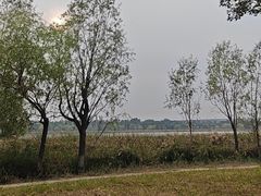 -绿堤公园