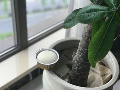 雪胖子-欢牛蛋糕屋(萧山万象汇店)