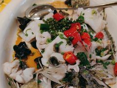-陶缘一号·四季缘·老字号顺德菜·户外婚礼家宴(西滘店)
