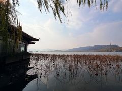 -湖畔居茶楼(湖滨店)