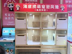 -海底捞火锅(奥体南路店)