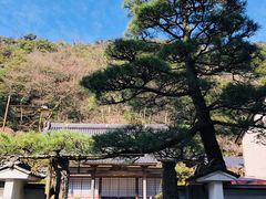 -城崎温泉 外七汤