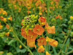 -中国天府农业博览园