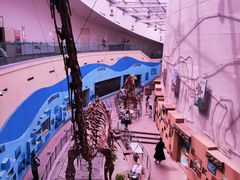 -陕西自然博物馆