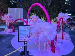 -福田卓悦INTOWN购物中心