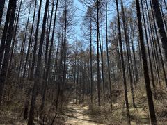 -萨尔浒风景区