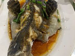 -四姑娘川味海鲜(八爪鱼店)
