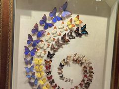 -广州白天鹅宾馆