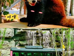 -北京野生动物园