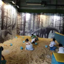 -恐龙探索乐园(磁器口店)