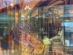 -金翠皇宫粤菜·点心·海鲜(科技园店)