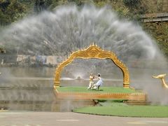 -西双版纳原始森林公园