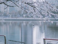 -西北湖绿化广场