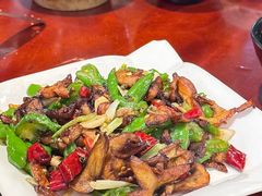 -蘑统田下·野生菌火锅