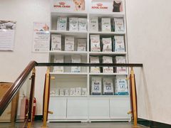 -宠爱国际动物医院·疑难骨科·心肾内科·皮肤科(太阳宫店)