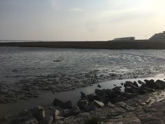 景点-南汇嘴观海公园